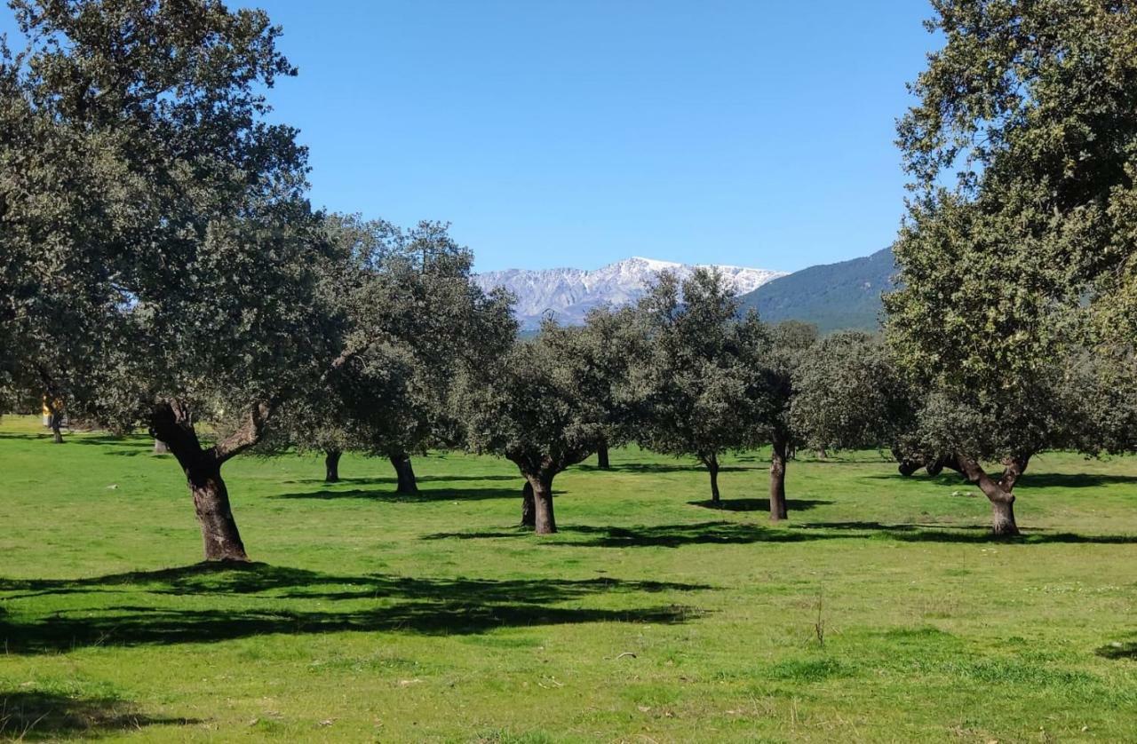 Casa En El Valle Del Tietar Lanzahita エクステリア 写真